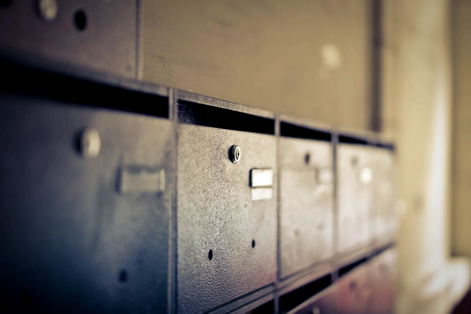 A dense field of alphanumeric records on a dark monitor, representing leaked credential and personal-data tables from a breach.